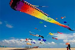 The 38th Annual Bali Kites Festival 2017