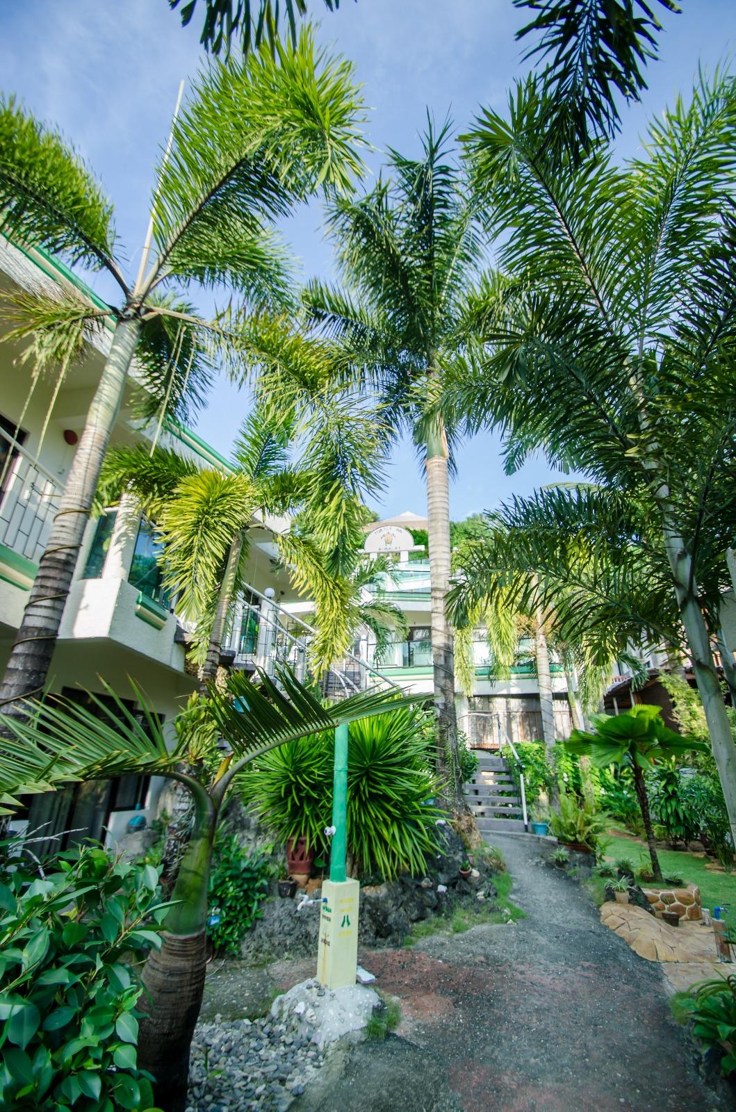 Turtle Inn Resort Boracay Turtle inn resort boracay