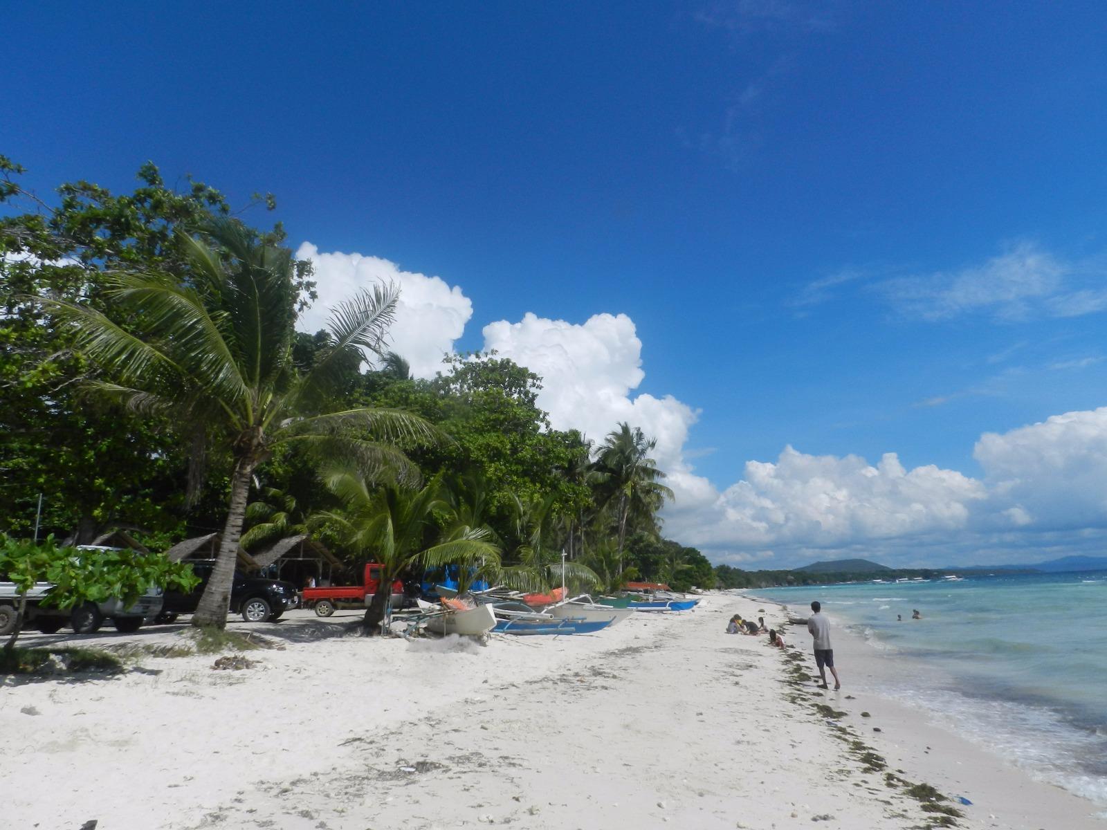 Panglao Chocolate Hills Resort photos Bohol View pictures of our