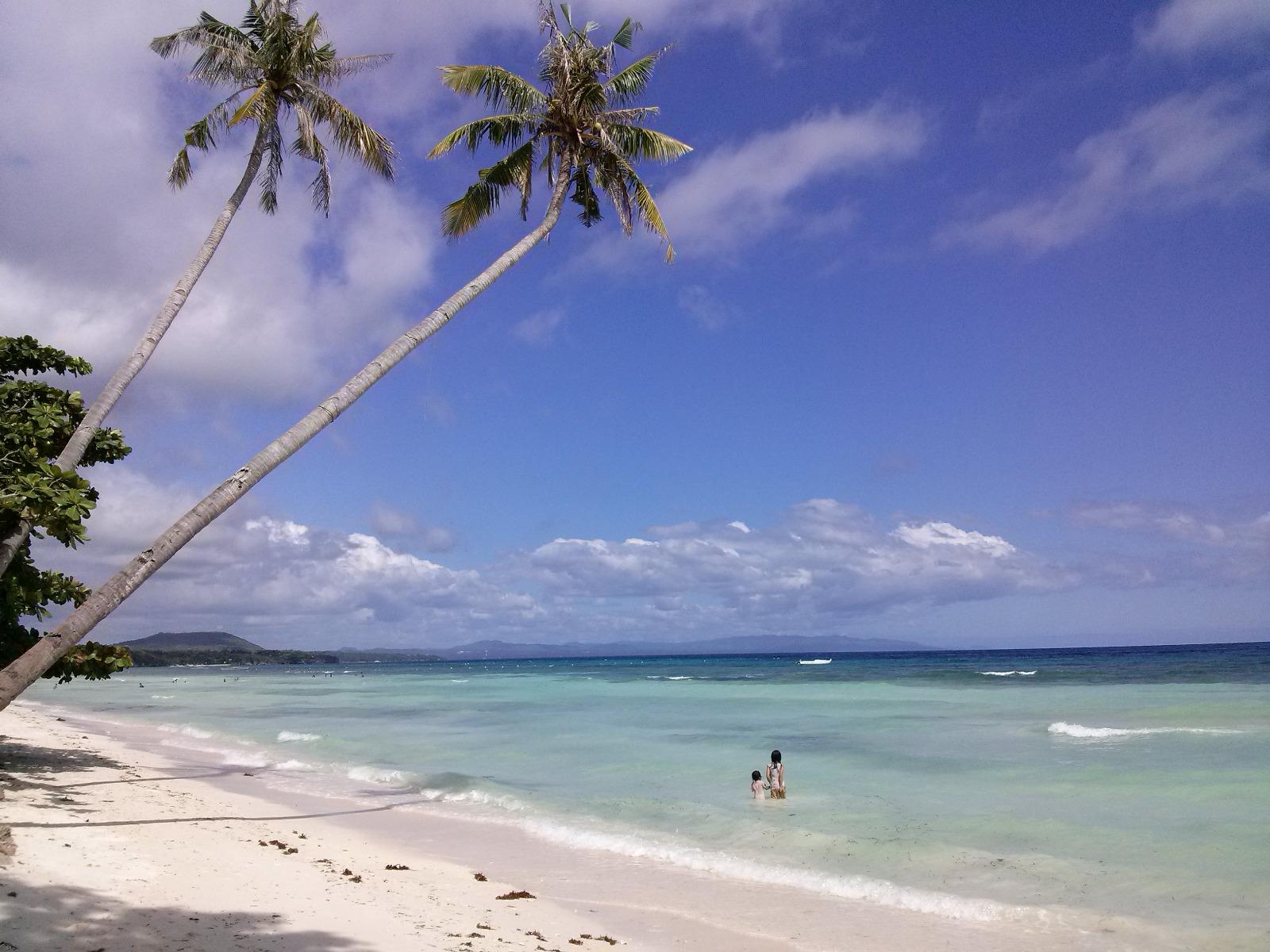 Panglao Chocolate Hills Resort photos Bohol View pictures of our