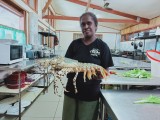 Crayfish | Agnes Gateway Hotel | Munda, New Georgia, Solomon Islands