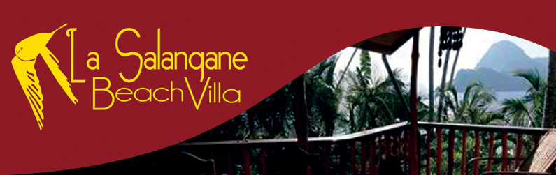 La Salangane Calaan Beach Villa